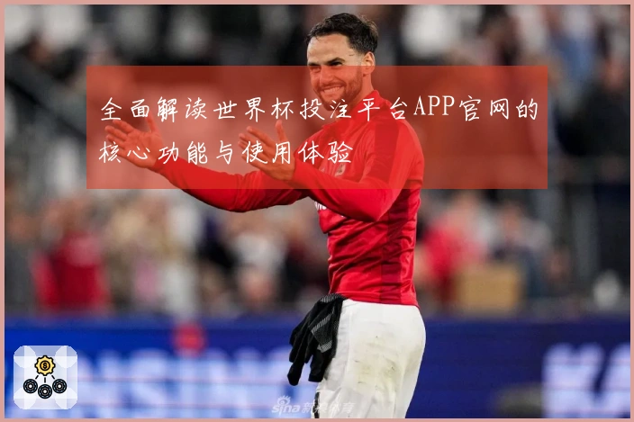 全面解读世界杯投注平台APP官网的核心功能与使用体验