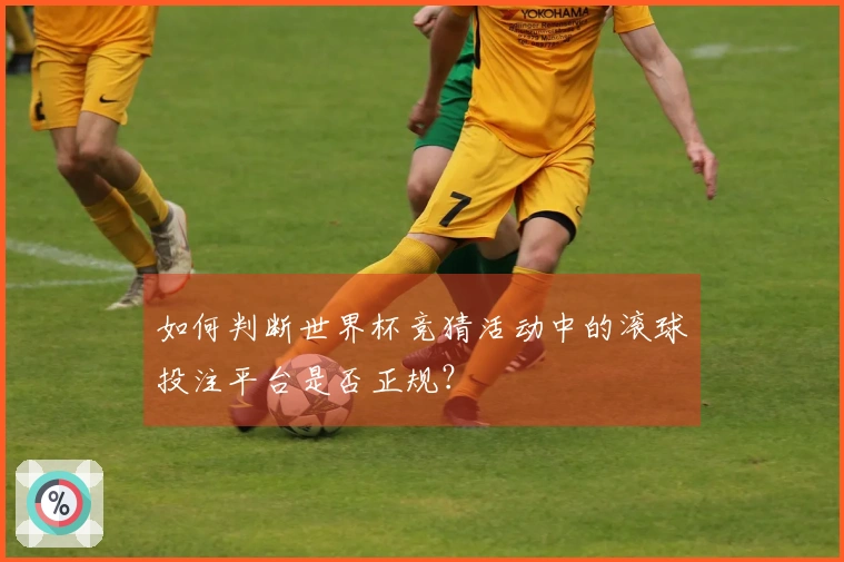 如何判断世界杯竞猜活动中的滚球投注平台是否正规？