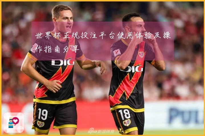 世界杯正规投注平台使用体验及操作指南分享