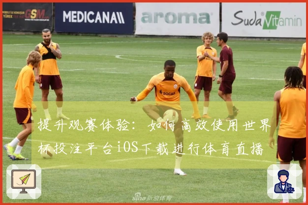 提升观赛体验：如何高效使用世界杯投注平台iOS下载进行体育直播