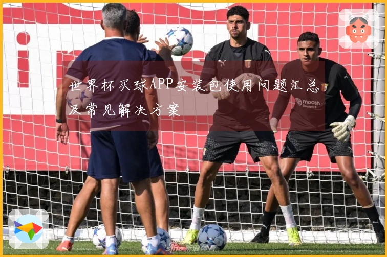 世界杯买球APP安装包使用问题汇总及常见解决方案