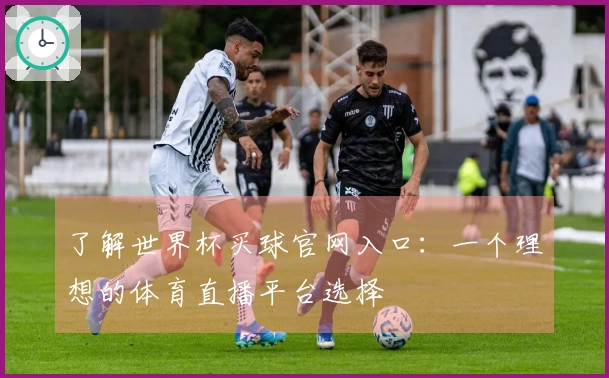 了解世界杯买球官网入口：一个理想的体育直播平台选择