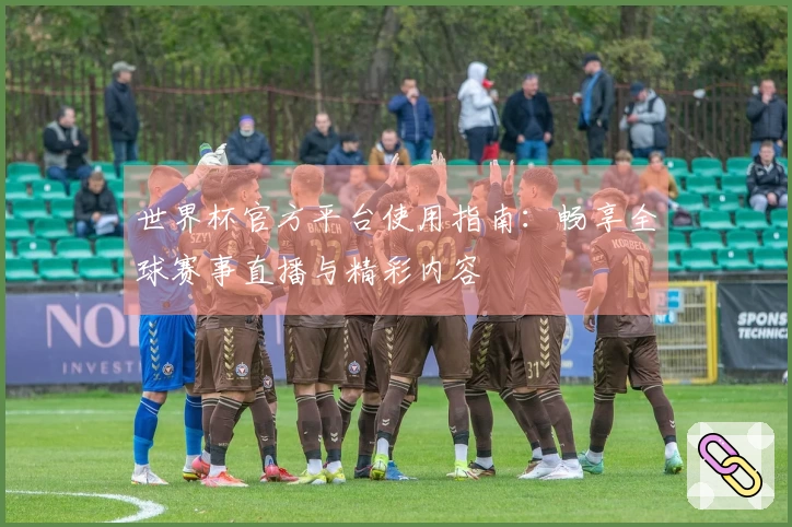 世界杯官方平台使用指南：畅享全球赛事直播与精彩内容