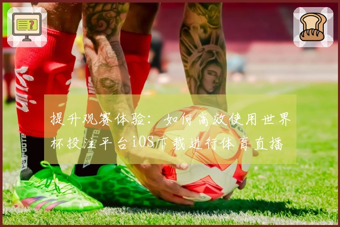 提升观赛体验：如何高效使用世界杯投注平台iOS下载进行体育直播