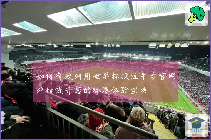 如何有效利用世界杯投注平台官网地址提升您的观赛体验宝典