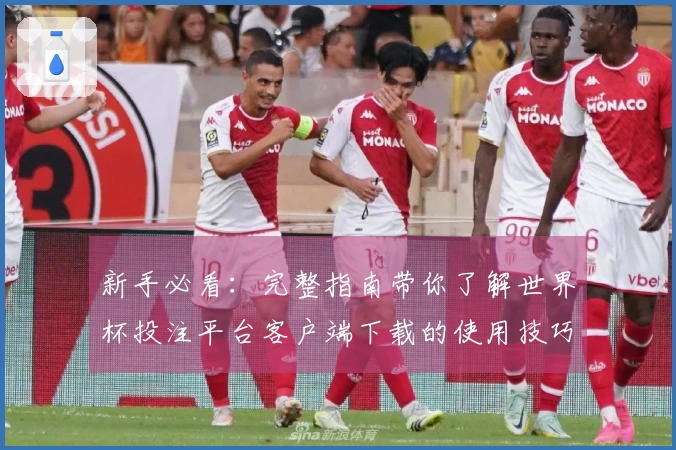 新手必看：完整指南带你了解世界杯投注平台客户端下载的使用技巧与功能特点