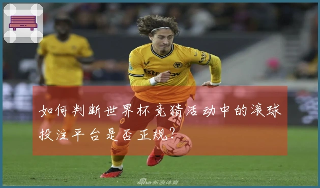 如何判断世界杯竞猜活动中的滚球投注平台是否正规？