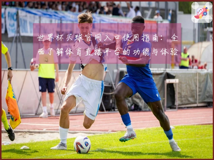 世界杯买球官网入口使用指南：全面了解体育直播平台的功能与体验