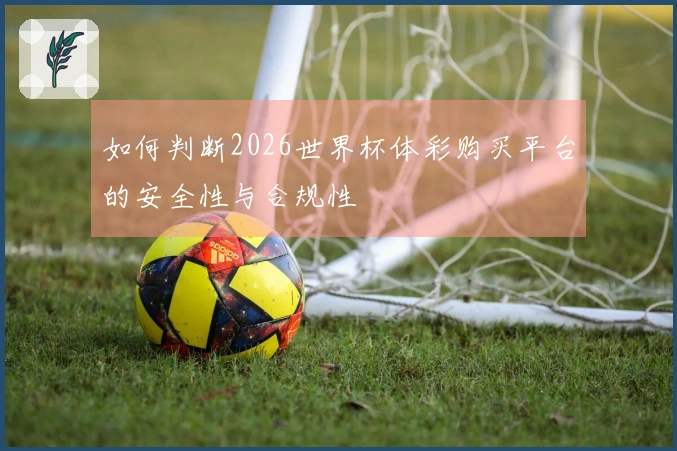 如何判断2026世界杯体彩购买平台的安全性与合规性