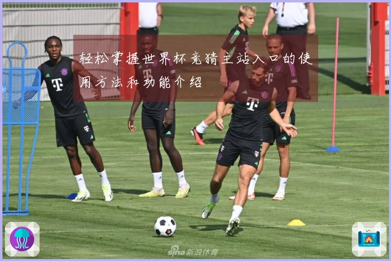 轻松掌握世界杯竞猜主站入口的使用方法和功能介绍