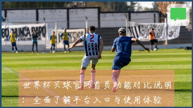 世界杯买球官网首页功能对比说明：全面了解平台入口与使用体验