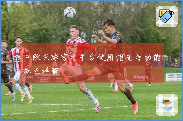 中欧买球官方平台使用指南与功能亮点详解
