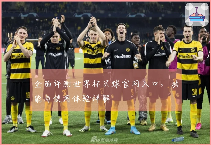 全面评测世界杯买球官网入口，功能与使用体验详解