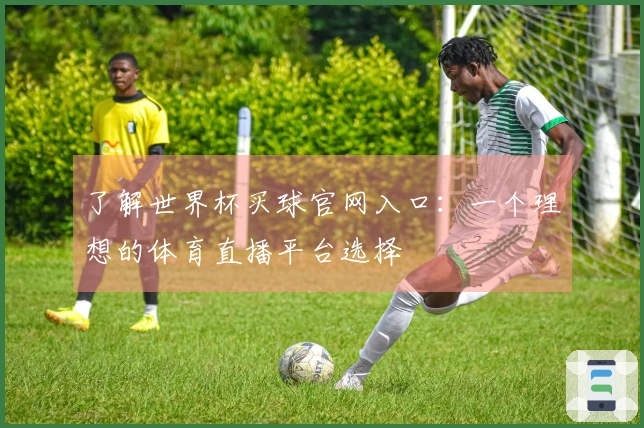 了解世界杯买球官网入口：一个理想的体育直播平台选择