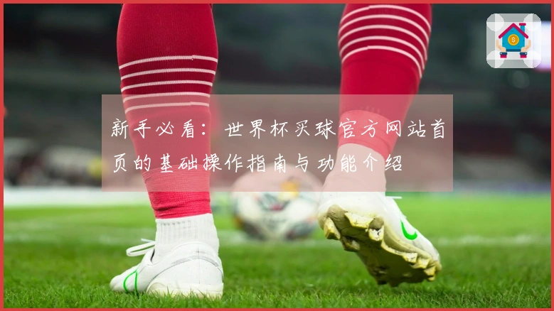 新手必看：世界杯买球官方网站首页的基础操作指南与功能介绍