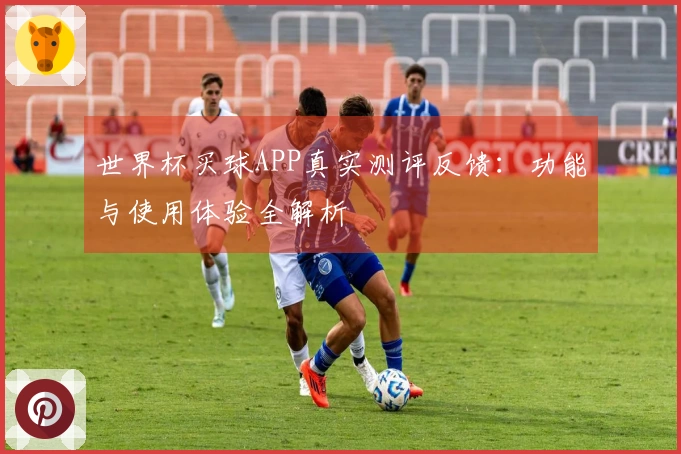 世界杯买球APP真实测评反馈：功能与使用体验全解析
