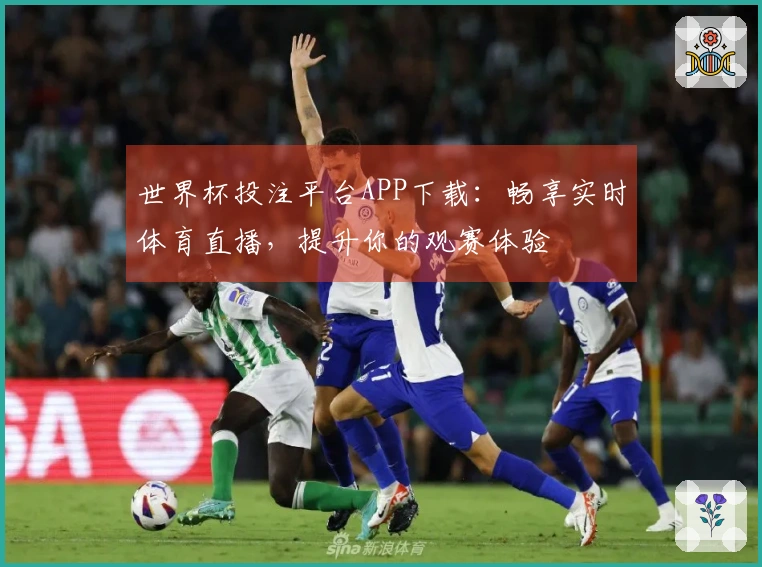 世界杯投注平台APP下载：畅享实时体育直播，提升你的观赛体验
