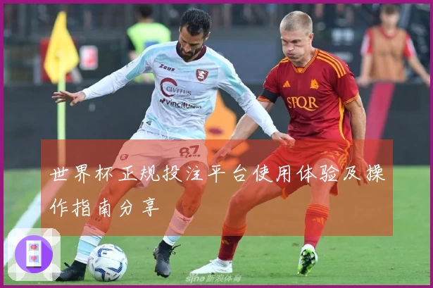世界杯正规投注平台使用体验及操作指南分享