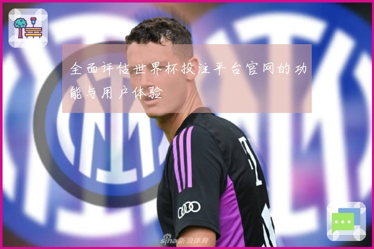 全面评估世界杯投注平台官网的功能与用户体验