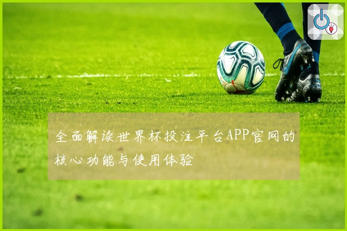 全面解读世界杯投注平台APP官网的核心功能与使用体验