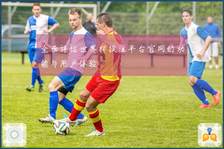 全面评估世界杯投注平台官网的功能与用户体验