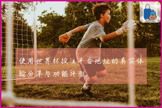 使用世界杯投注平台地址的真实体验分享与功能评测