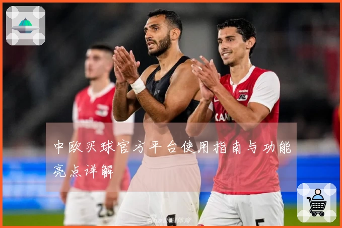 中欧买球官方平台使用指南与功能亮点详解