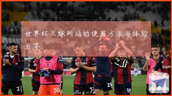 世界杯买球网站的使用方法与体验分享